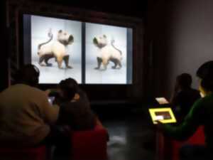 photo Exposition numérique : collections nationales