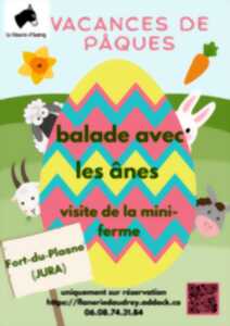 photo Vacances de Pâques - balade accompagnée