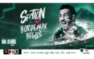 Rugby TOP14 Section Vs MHR