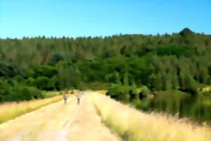 1, 2, 3 j'irai dans les bois...