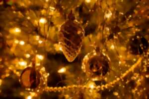 photo Illuminations de Noël au Chalet  des Ribières