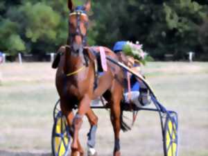 photo Course de trot à l'Hippodrome de Lisieux - Premium Quinté