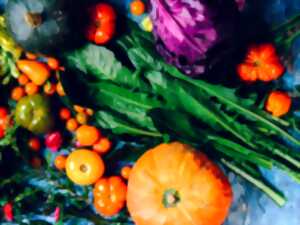 photo Marché traditionnel