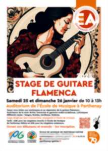 Stage de guitare Flamenca