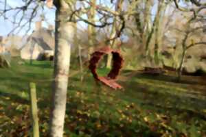 photo Fabrication d'une mangeoire à oiseaux