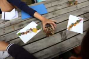 photo Découverte sensorielle de la haie et  création végétale