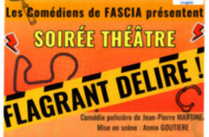 photo Théâtre | Flagrant délire !