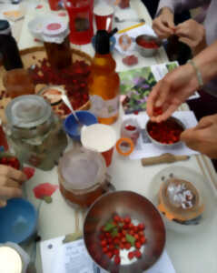 photo Ateliers-cueillettes de plantes sauvages