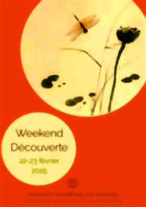 weekend découverte du Zen