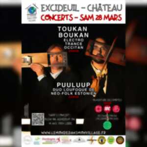 photo Concert TOUKAN BOUKAN & PUULUUP avec Le Monde dans mon village