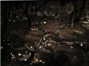 BRÛLURES, EXPO PHOTO DE BRUNO VIALANEIX