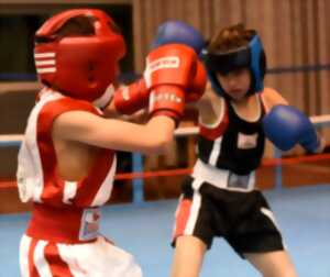 Championnat Départemental de Boxe Éducative à Trélissac