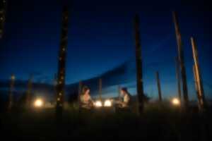 Coton - sieste musicale immersive / Cie Emotive