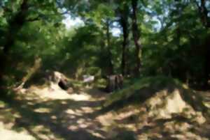 photo Le printemps se raconte