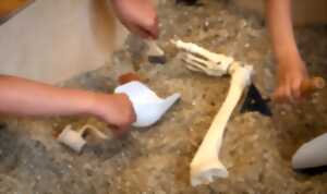 photo Visite de l'&cclesia et atelier de fouille archéologique