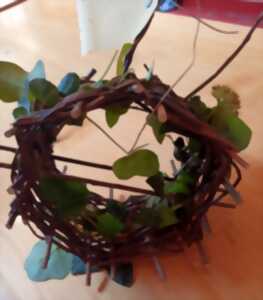 photo Initiation à la vannerie - Ferme-musée du Cotentin