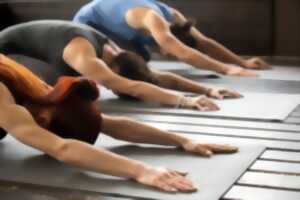 Stage de Yoga