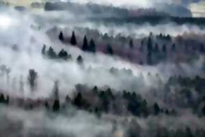 photo Atelier Art et Nature Printemps
