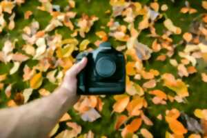 Exposition photo : Niederbronn-les-Bains insolite