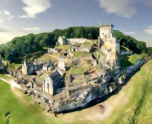 photo Châteaux en fête - Visites guidées