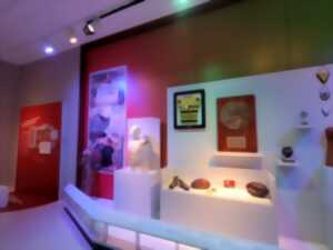 photo Exposition : 