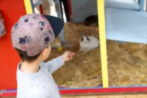 photo Exposition avicole de Jungholtz