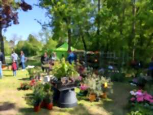 photo Nature et jardin