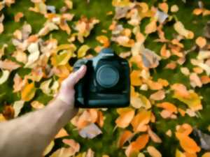 Exposition photo : Niederbronn-les-Bains insolite