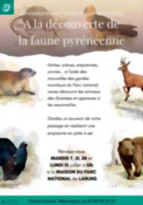 photo A la découverte de la faune pyrénéenne