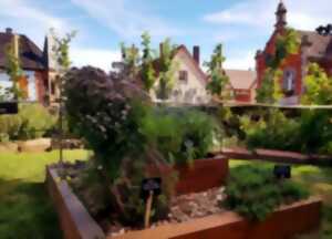 photo Balade botanique : À la découverte des plantes utiles du printemps