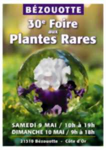 photo Foire aux plantes
