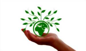 photo Fresque du climat