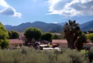 photo 20EME FETE DE L'HUILE D'OLIVE ET PRODUITS DU TERROIR