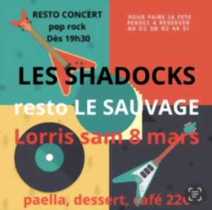 photo concert pop rock