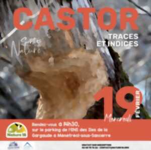 À la recherche des traces du castor