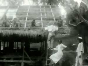 photo Exposition - Devenir médécin en Afrique équatoriale