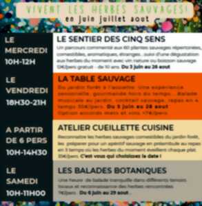 photo Atelier Cueillette et Cuisine en 3 temps