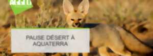 Pause désert à Aquaterra