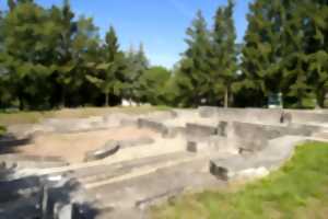photo Visite guidée : Les thermes romains de Mackwiller