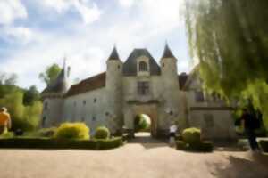 photo Les Étonnants Patrimoines : Le château dans tous les sens !