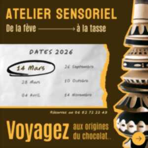 photo Atelier sensoriel ' Chocolat maya, de la fève à la tasse '-Bligny sur Ouche