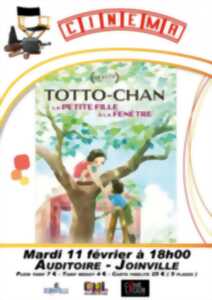 photo Cinéma à l'auditoire de Joinville 