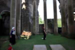 photo Histoires et jongleries