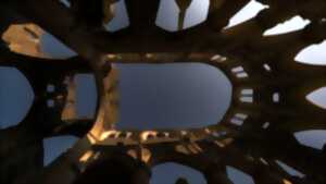 photo Soirée sous les étoiles