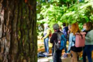 DÉCOUVREZ LE HÉRISSON AVEC ALSACE NATURE