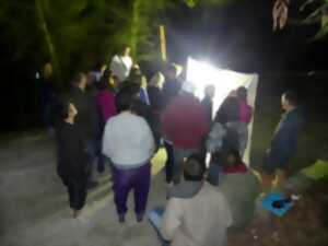 photo Les papillons de nuit du marais