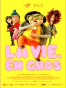 photo Cinéma Arudy : Les schtroumpfs, le film