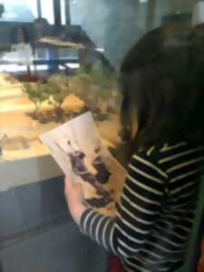 photo Musée décalé, une visite famille à Bibracte