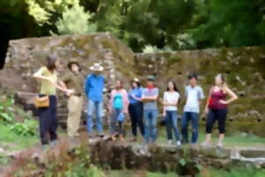 photo Grande journée gauloise à Bibracte