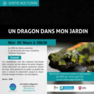 photo Un dragon dans nos jardins